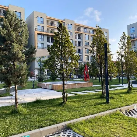 Summer Onix Mamaia Nord